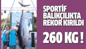 37 kilogram güce dayanacak misinayla 260 kilogramlık balık yakaladı