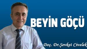 Beyin Göçü