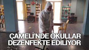 Çameli'nde okullarda dezenfektan çalışmaları devam ediyor