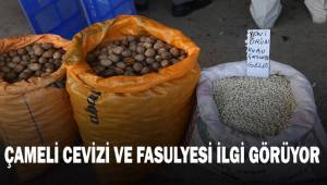 Çameli'nin yerli ceviz ve fasulyesi ilgi görmeye devam ediyor