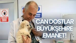 Can dostlar Büyükşehire emanet