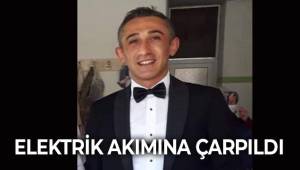 Ceviz toplarken elektrik akımına kapılan astsubay yaralandı