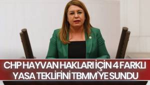 CHP HAYVAN HAKLARI İÇİN 4 FARKLI YASA TEKLİFİNİ TBMM’YE SUNDU