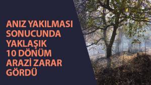Çiftçi anız yakmak isterken, 10 dönüm arazi yandı