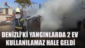 Denizli'deki yangınlardan sonra 2 ev kullanılamaz hale geldi