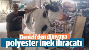 Denizli’den dünyaya polyester inek ihracatı