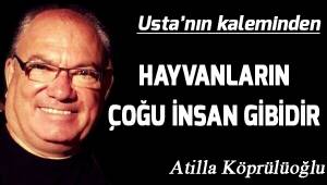 HAYVANLARIN ÇOĞU İNSAN GİBİDİR