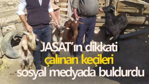 JASAT’ın dikkati çalınan keçileri sosyal medyada buldurdu
