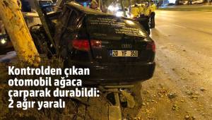Kontrolden çıkan otomobil ağaca çarparak durabildi: 2 ağır yaralı