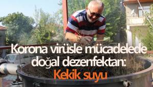 Korona virüsle mücadelede doğal dezenfektan: Kekik suyu