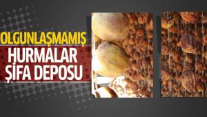 Olgunlaşmamış hurma 3 haftada şifa dolusu lezzete dönüşüyor