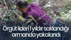 Örgüt lideri 1 yıldır saklandığı ormanda yakalandı