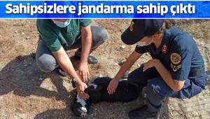 Sahipsizlere jandarma sahip çıktı