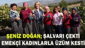 Şeniz Doğan; Şalvarı çekti, emekçi kadınlarla üzüm kesti