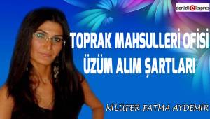 Toprak Mahsulleri Ofisi Üzüm Alım Şartları