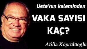 Vaka sayısı kaç?