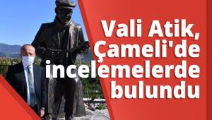 Vali Ali Fuat Atik, Çameli'de incelemelerde bulundu