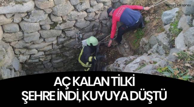 Aç kalan tilki indiği mahallede kuyuya düştü