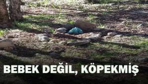 Bebek gömüldüğü sanılan mezarlıktan, köpek cesedi çıktı
