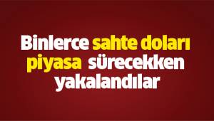 Binlerce sahte doları piyasa sürecekken yakalandılar
