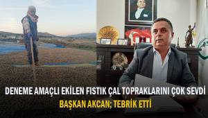 Deneme amaçlı ekilen fıstık Çal topraklarını çok sevdi