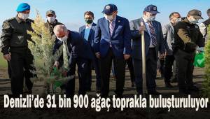 Denizli'de 31.900 fidan toprakla buluşuyor