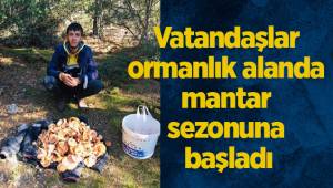 Denizli’de vatandaşlar mantar toplamaya başladı