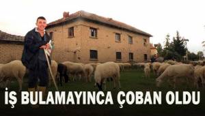 İş bulamayınca çoban oldu