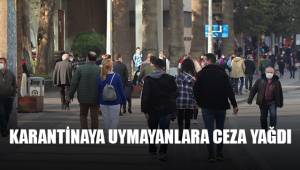 Karantinaya uymamanlara ceza yağdı