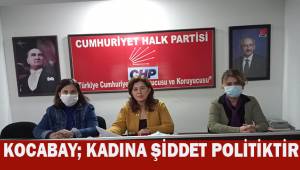 Kocabay; Kadına Şiddet Politiktir