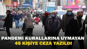 Pandemi kurallarına uymayan 45 kişiye 40 bin 500 TL ceza