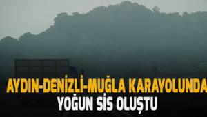 Aydın, Denizli, Muğla karayolunda yoğun sis