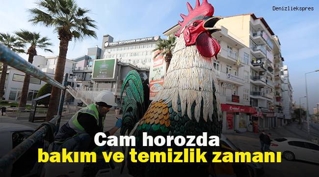 Cam horozda bakım ve temizlik zamanı