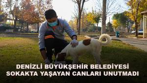 Denizli Büyükşehir Belediyesi can dostlarını unutmadı