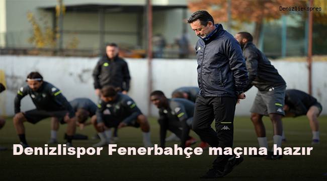 Denizlispor, Fenerbahçe maçına hazır