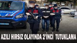 Divanın altından çıkan azılı hırsız olayında 2’inci tutuklama