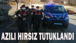 Divanın altından çıkan azılı hırsız tutuklandı