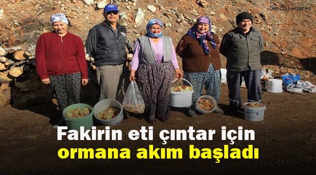 Fakirin eti çıntar için ormana akım başladı