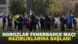 Horozlar, Fenerbahçe hazırlıklarına başladı