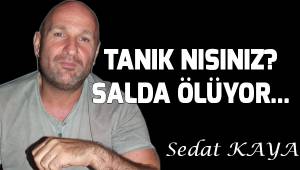 Tanık mısınız? Salda ölüyor...