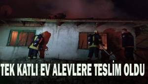 Tek katlı ev alevlere teslim oldu