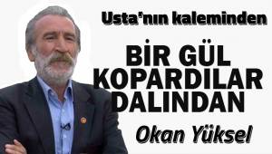 Bir gül kopardılar dalından...