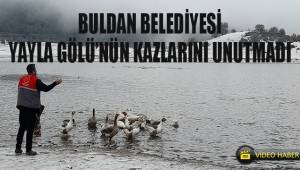 Buldan Belediyesi, Yayla Gölü'nün kazlarını unutmadı