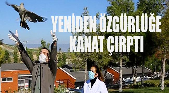 Büyükşehir vahşi doğaya da sahip çıkıyor