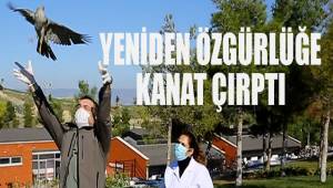 Büyükşehir vahşi doğaya da sahip çıkıyor