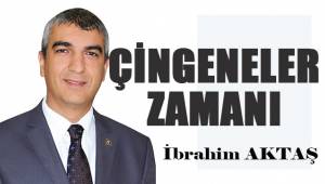 Çingeneler Zamanı