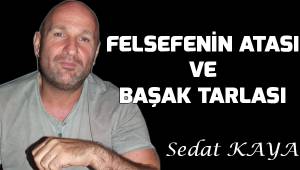 FELSEFENİN ATASI VE BAŞAK TARLASI