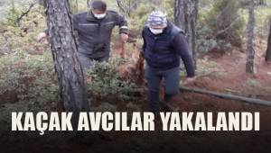 Kaçak avcılar suçüstü yakalandı