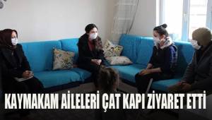 Kaymakam aileleri çat kapı ziyaret etti