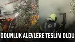 Kışlıklarının yanışını gözyaşlarıyla izledi